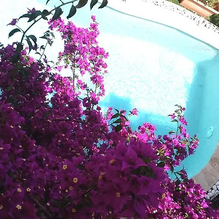 Villa Manon Les Issambres